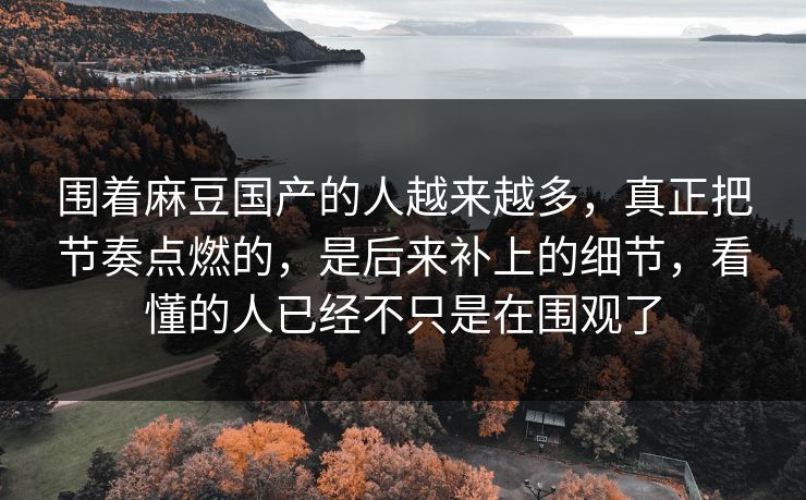 围着麻豆国产的人越来越多，真正把节奏点燃的，是后来补上的细节，看懂的人已经不只是在围观了