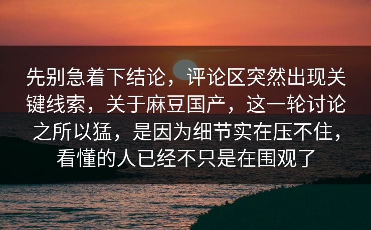 先别急着下结论，评论区突然出现关键线索，关于麻豆国产，这一轮讨论之所以猛，是因为细节实在压不住，看懂的人已经不只是在围观了