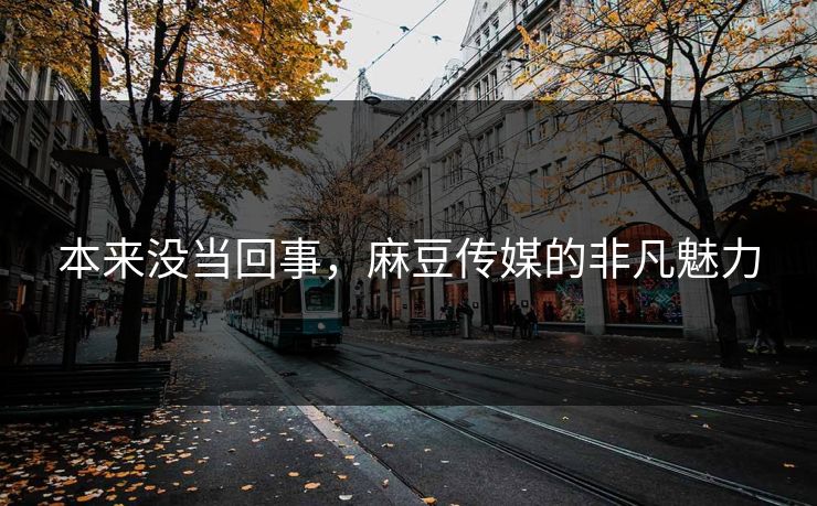 本来没当回事，麻豆传媒的非凡魅力