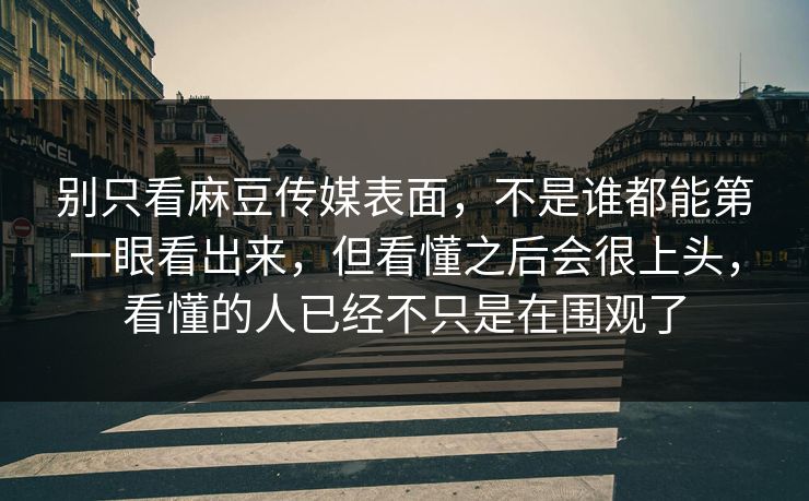 别只看麻豆传媒表面，不是谁都能第一眼看出来，但看懂之后会很上头，看懂的人已经不只是在围观了