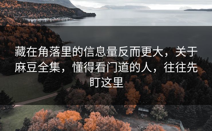 藏在角落里的信息量反而更大,关于麻豆全集,懂得看门道的人,往往先盯这里 藏在角落里的信息量反而更大,关于麻豆全集,懂得看门道的人,往往先盯这里