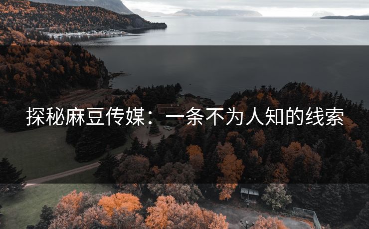 探秘麻豆传媒：一条不为人知的线索