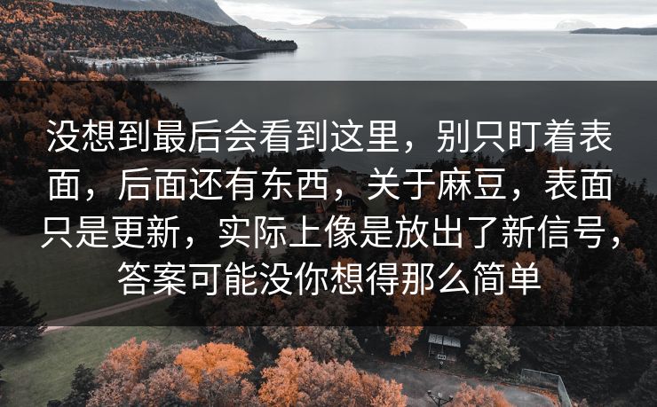 没想到最后会看到这里,别只盯着表面,后面还有东西,关于麻豆,表面只是更新,实际上像是放出了新信号,答案可能没你想得那么简单